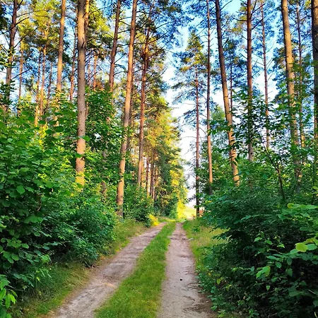 Lesny Brzeg - Dom Na Mazurach Szczytno (Warmian-Masurian)
